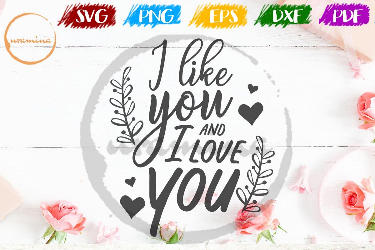 I Like You And I Love You Valentine SVG PDF PNG example image 1
