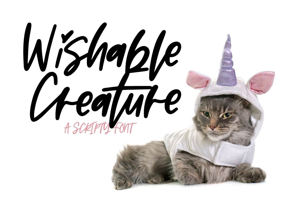 Wishable Creature example image 1
