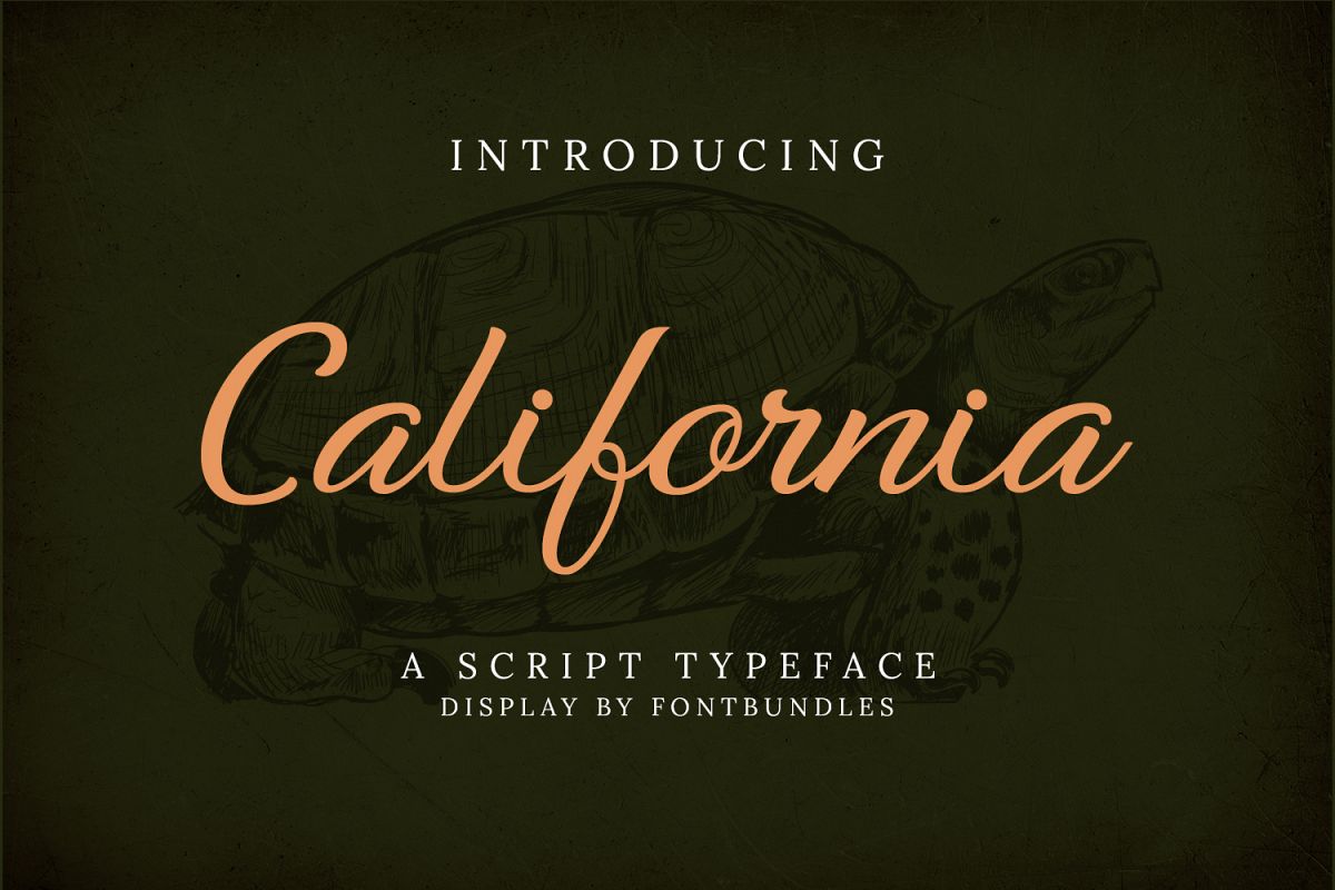 California example image 1