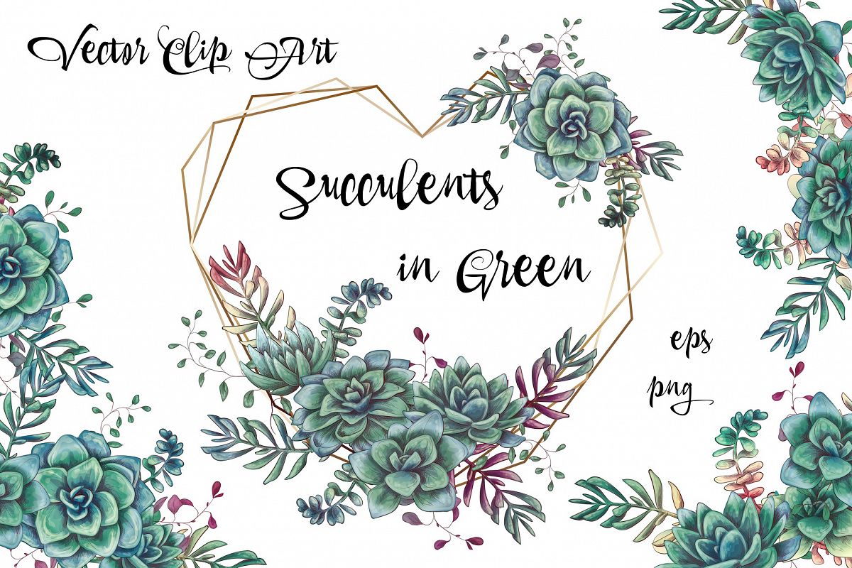 Succulents in green example image 1