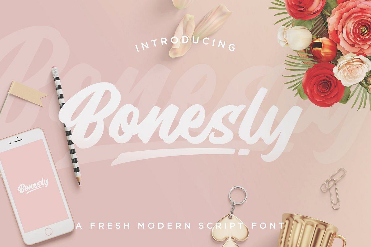 Bonesly Modern Script Font example image 1