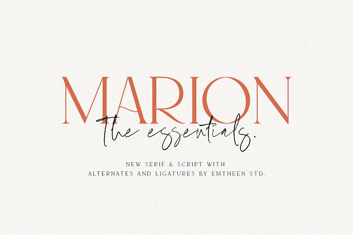 MARION & The Essentials example image 1
