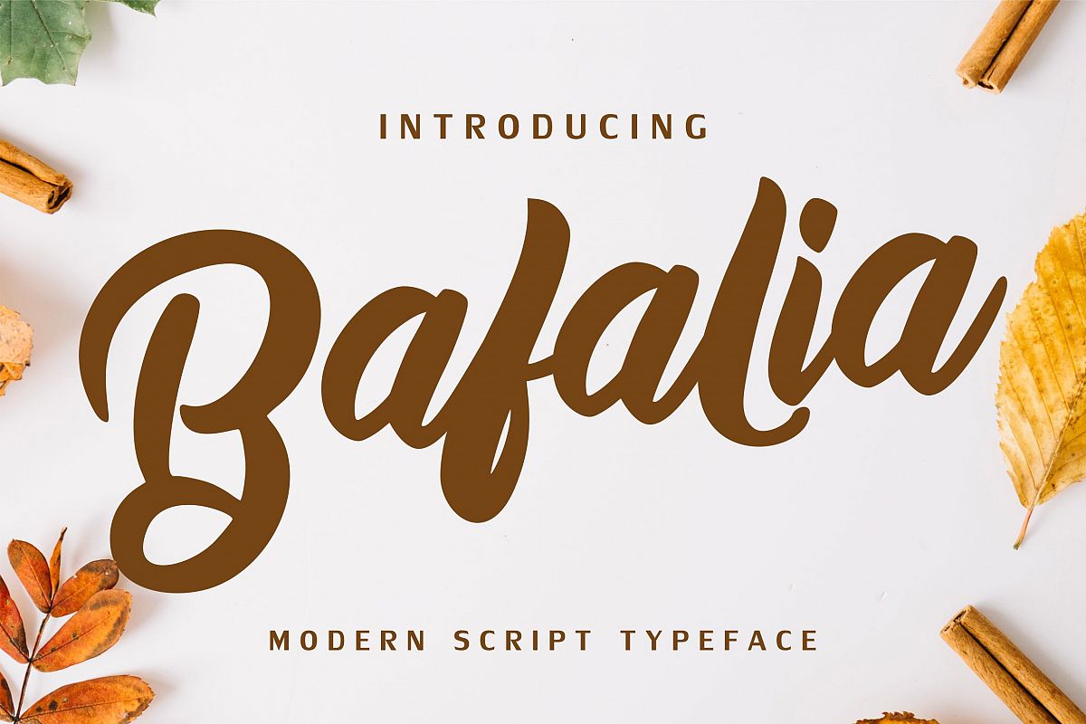 Bafalia - Modern Script Font example image 1