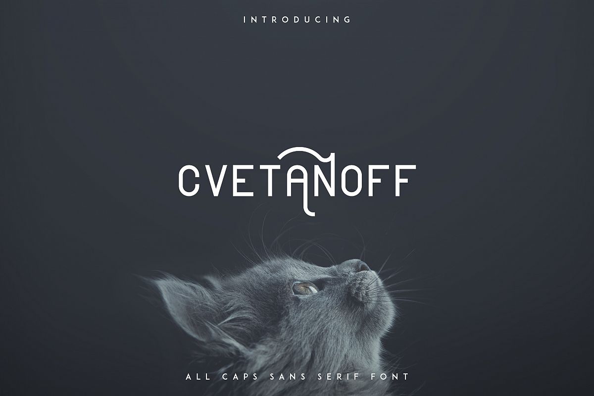 Cvetanoff Sans Serif example image 1