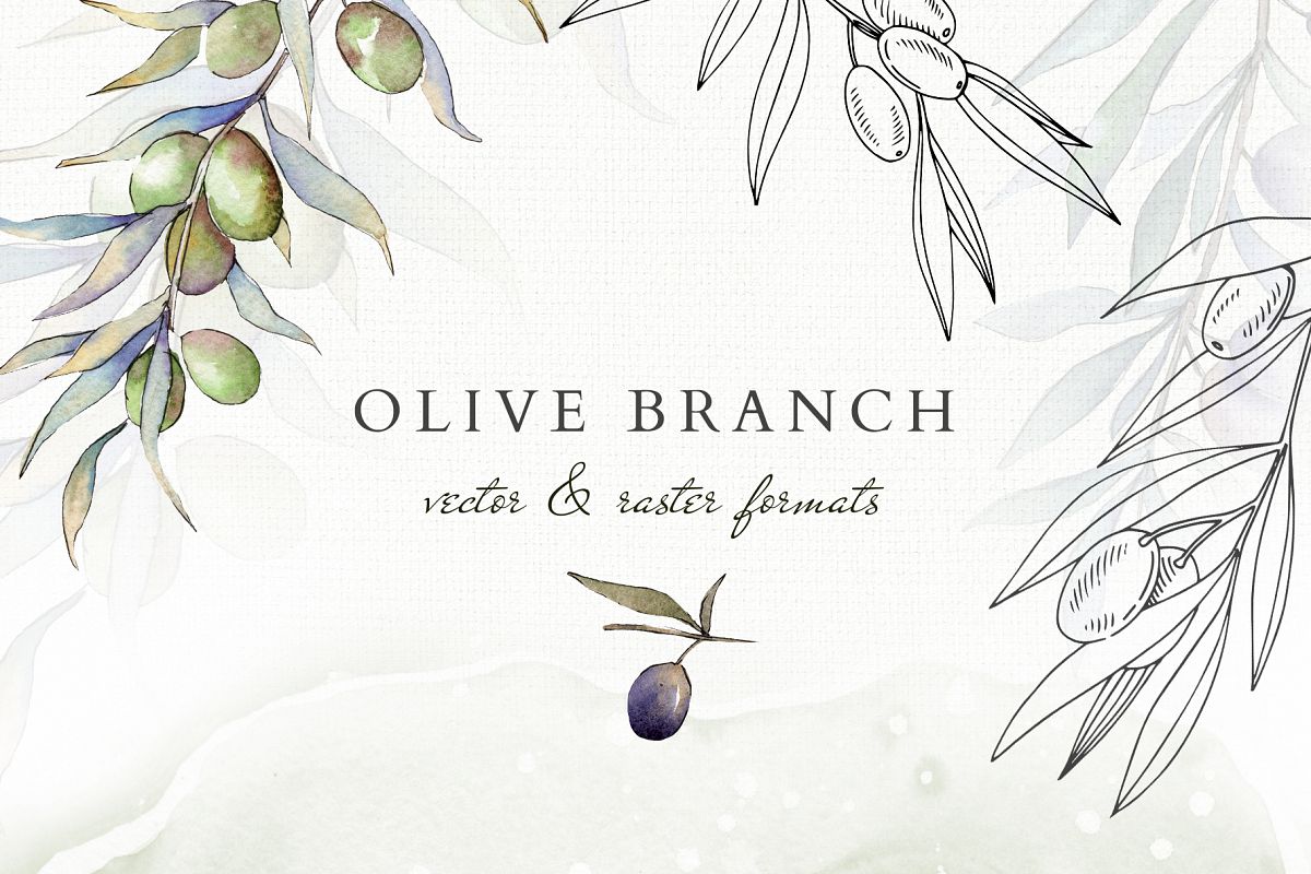 Olive Branch Watercolor