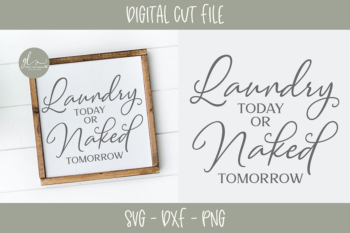 Laundry Today Or Naked Tomorrow - SVG Cut File example image 1