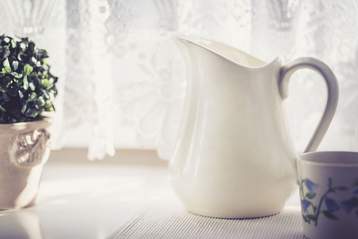 Milk Jug and Green Plant - Cold Tone