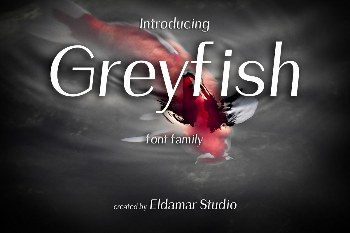 Greyfish Font example image 1