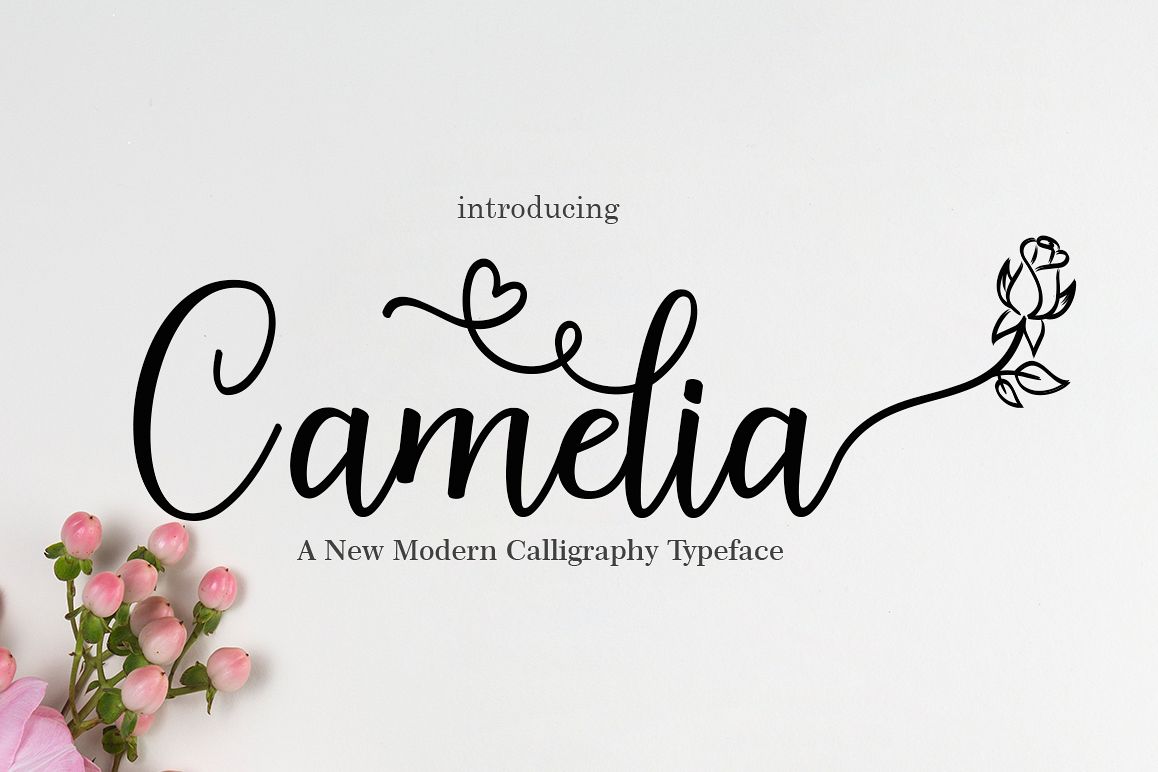 Camelia example image 1