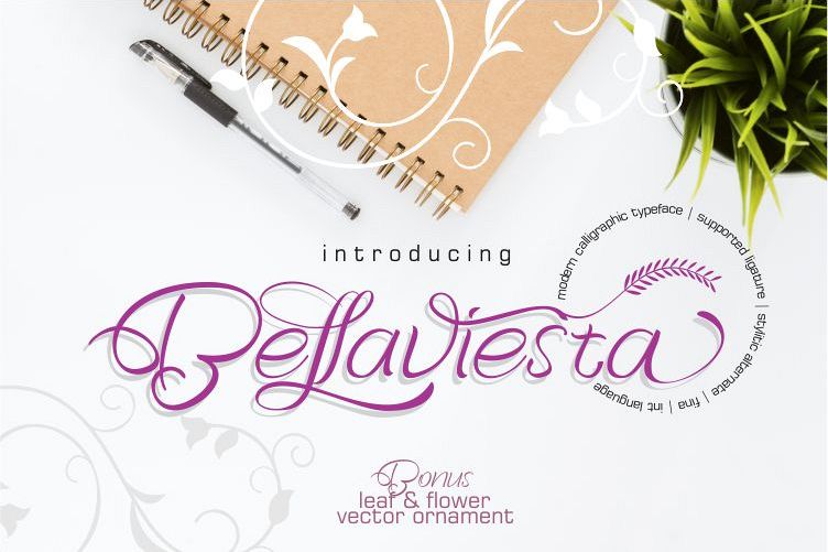Bellaviesta example image 1