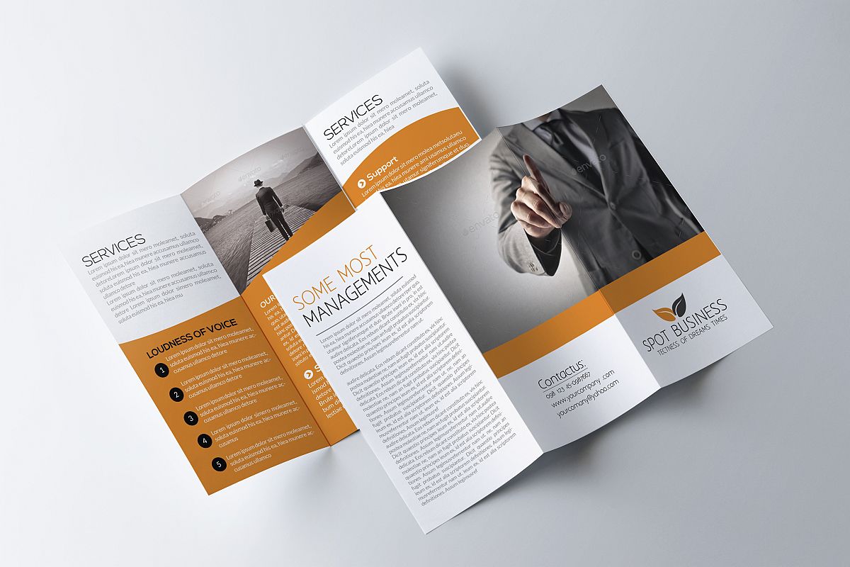 Trifold example image 1