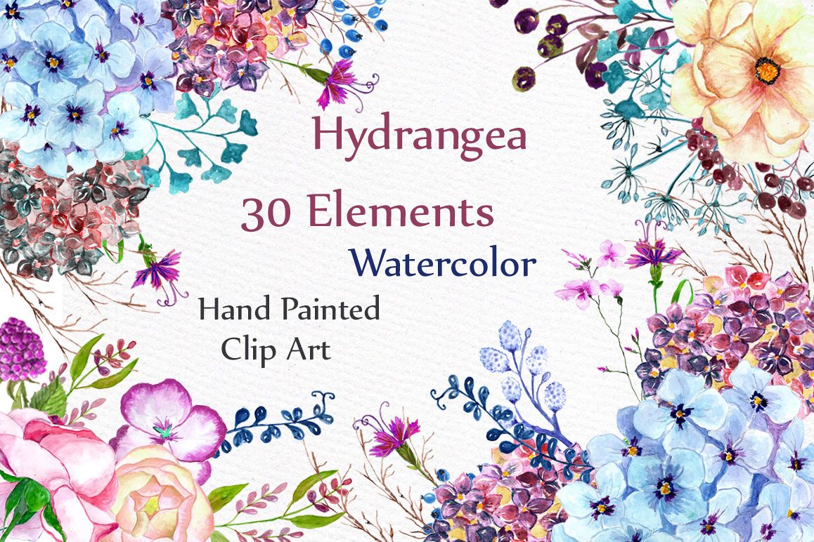 Watercolor hydrangea flowers clipart example image 1