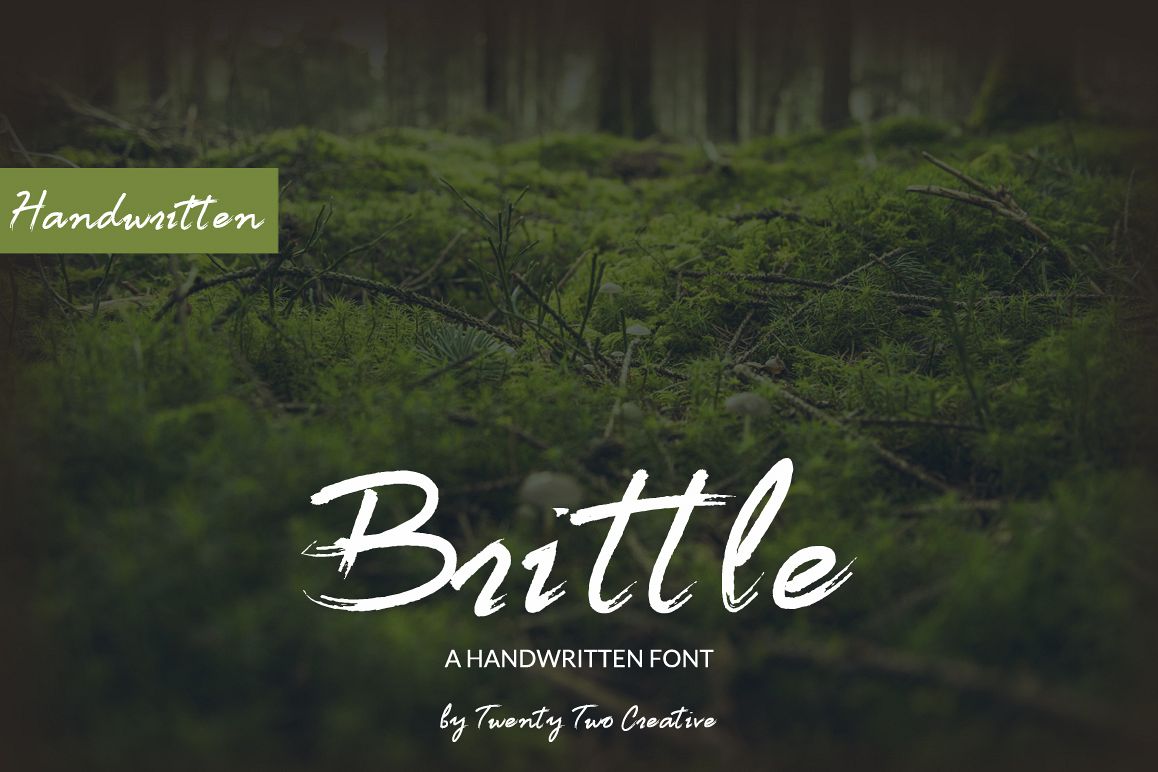 Brittle - a handwritten nature inspired font example image 1
