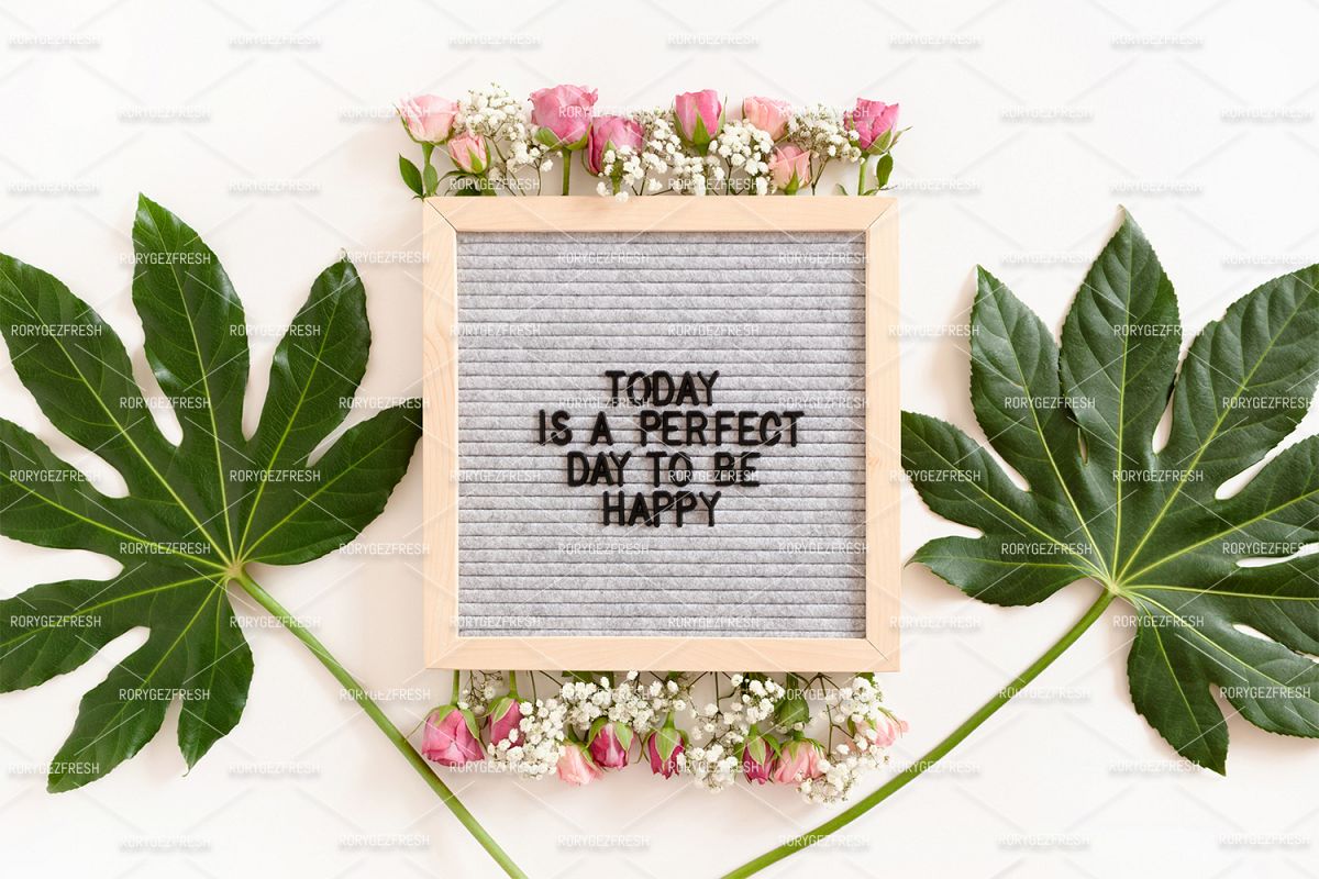 Today is a perfect day to be happy example image 1
