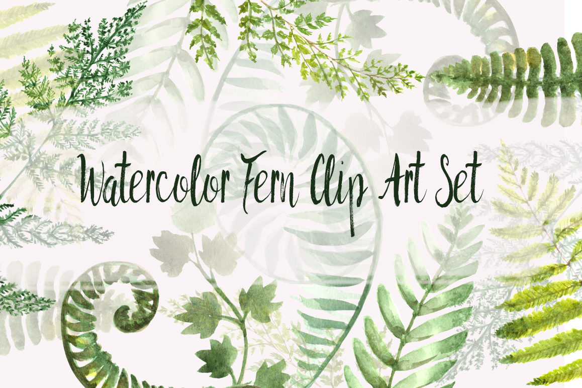 Watercolor Fern Clip Art Set example image 1