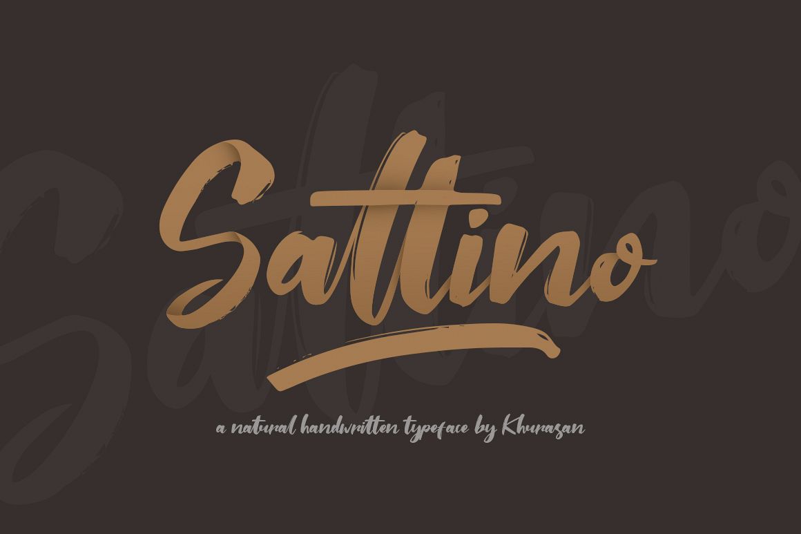 Saltino Script example image 1