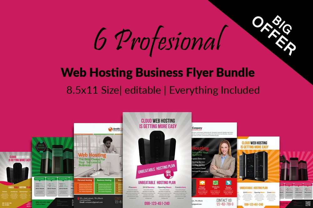 6 Web Hosting Business Flyers Bundle example image 1