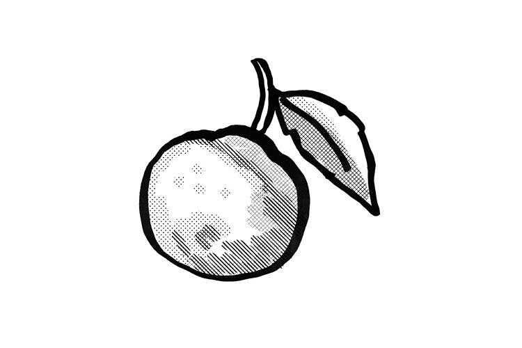 This is only available in a raster JPG format. The download example image 1