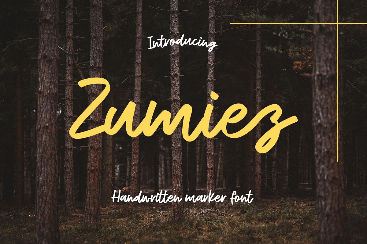 Zumiez example image 1