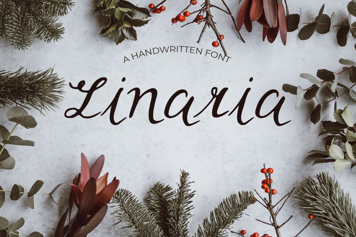 Linaria Font example image 1