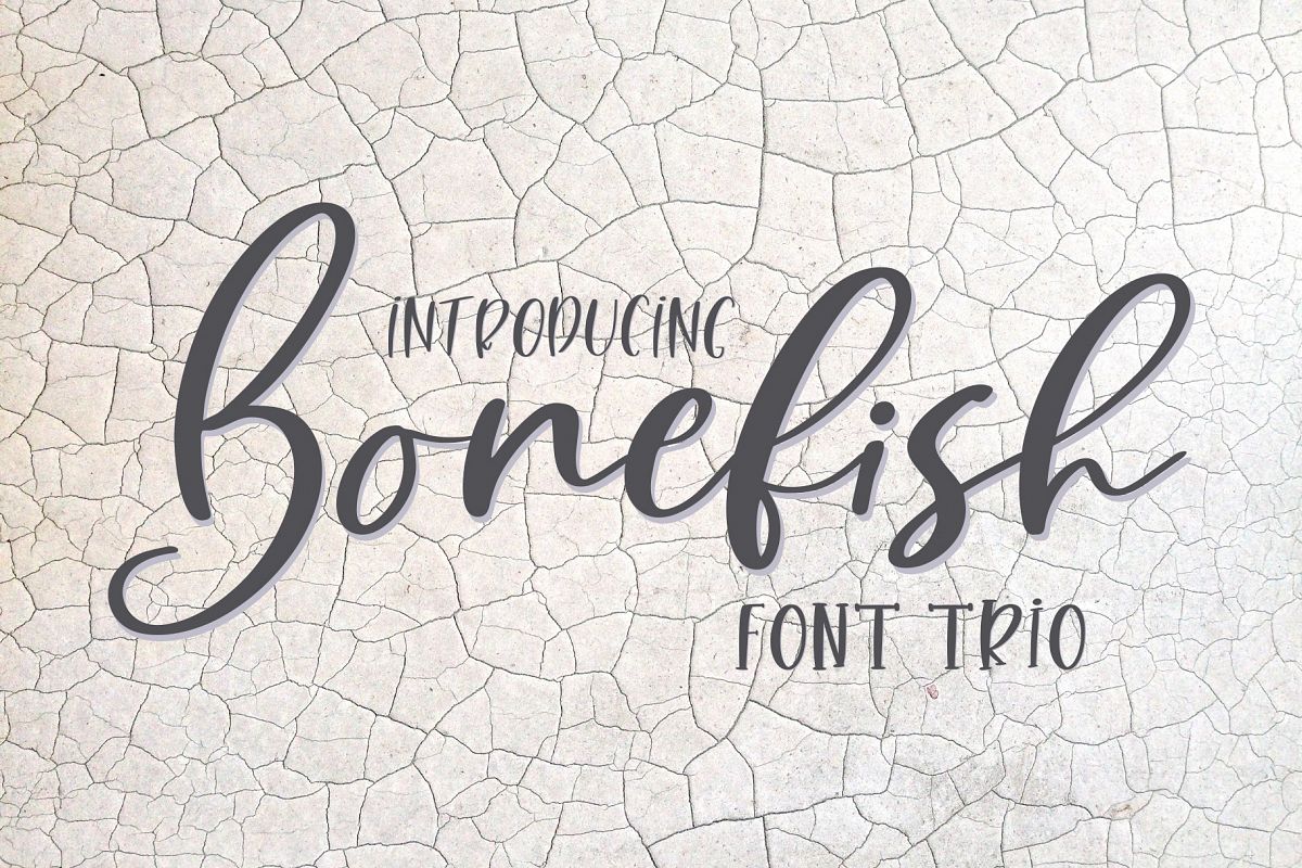 Bonefish Font Trio example image 1