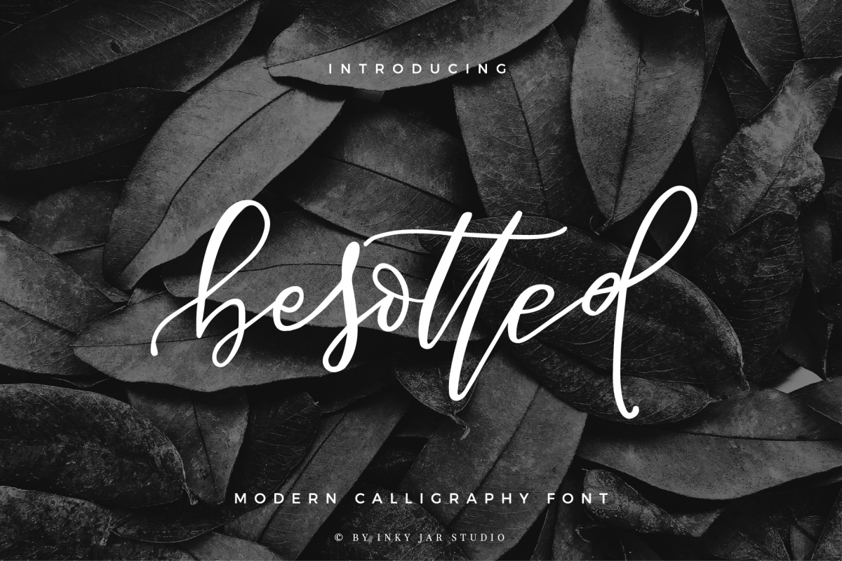 Besotted Modern Calligraphy Script example image 1