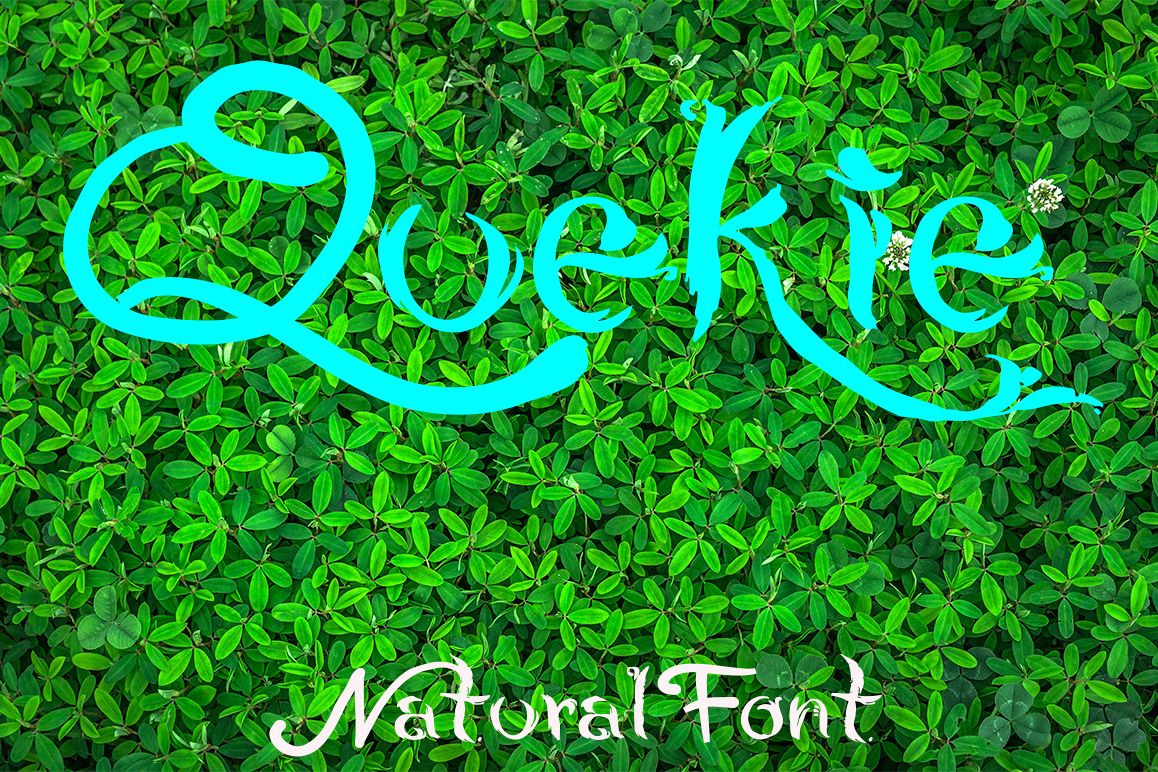 QUEKIE Natural Font example image 1