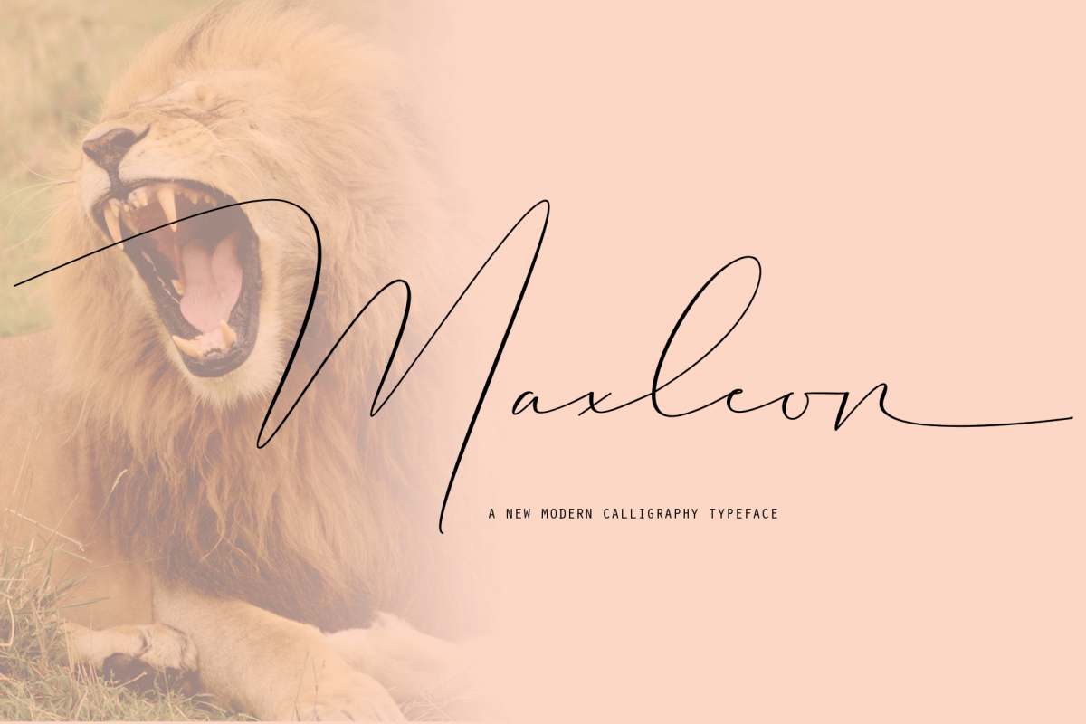 Maxleon example image 1