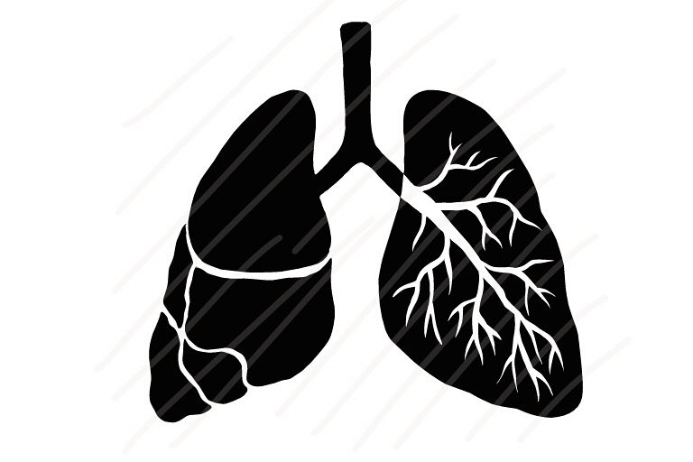 Human Lung Type A - SVG/JPG/PNG Hand Drawing example image 1