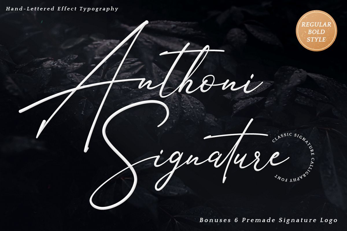 Anthoni Signature example image 1