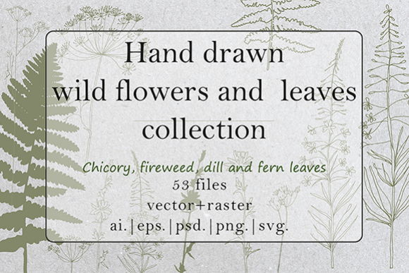 Hand drawn wild flowers and fern leaves example image 1