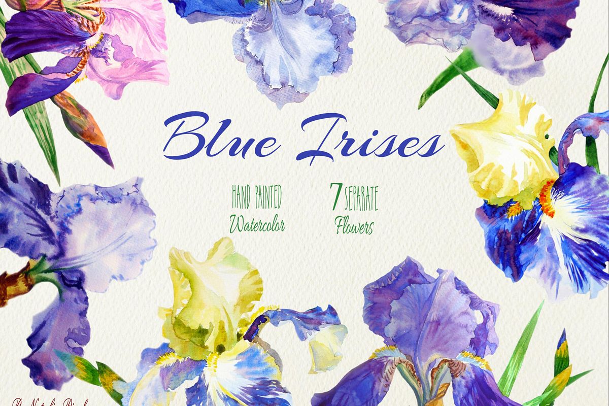 Blue Irises. Watercolor Clip Art example image 1