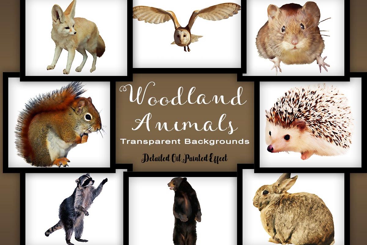 Woodland Animal Set V1 example image 1