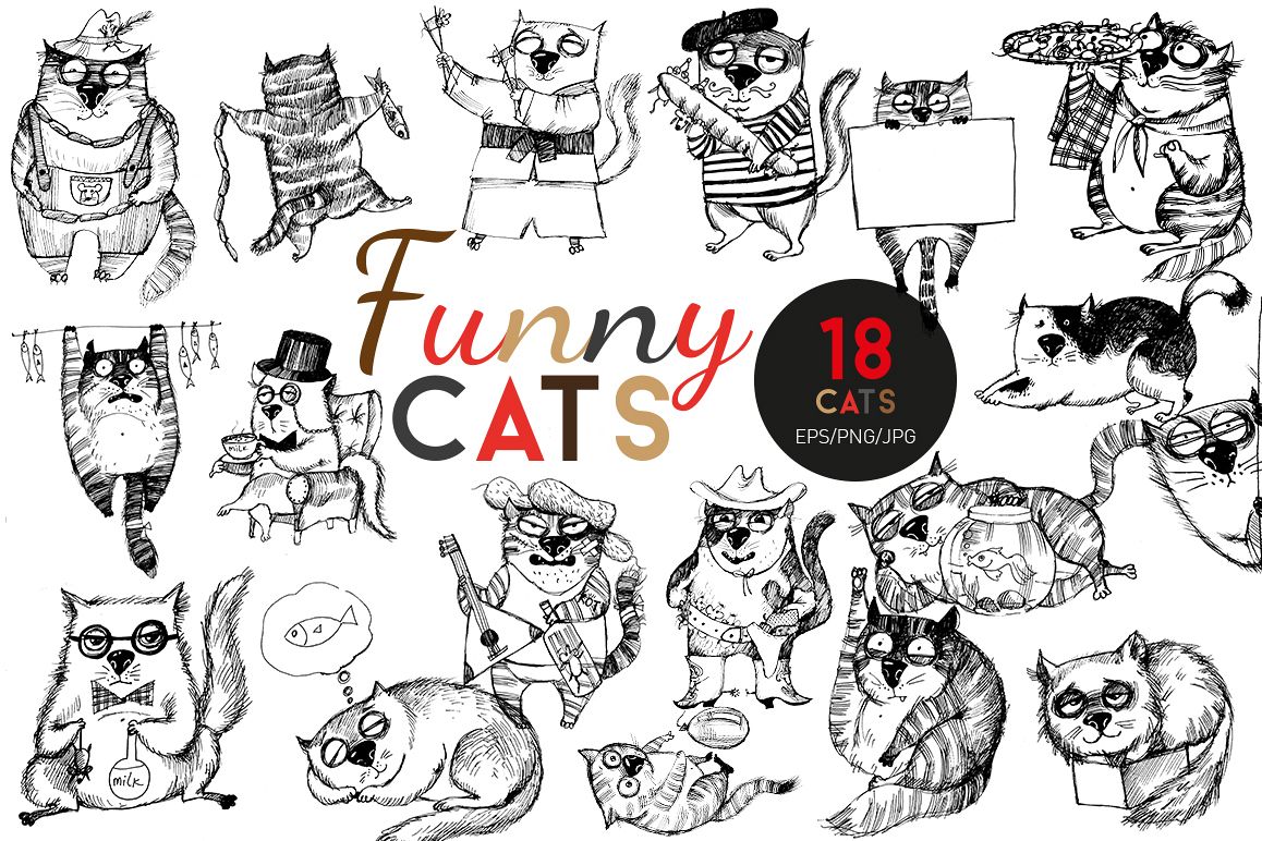 Funny cats. Part 2 example image 1