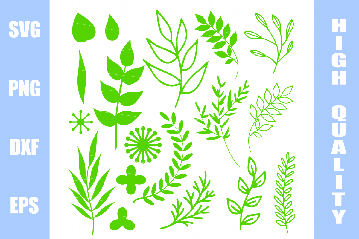 Leaf svg