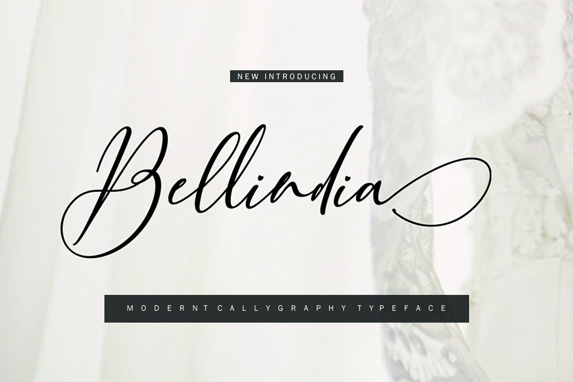 Bellindia example image 1