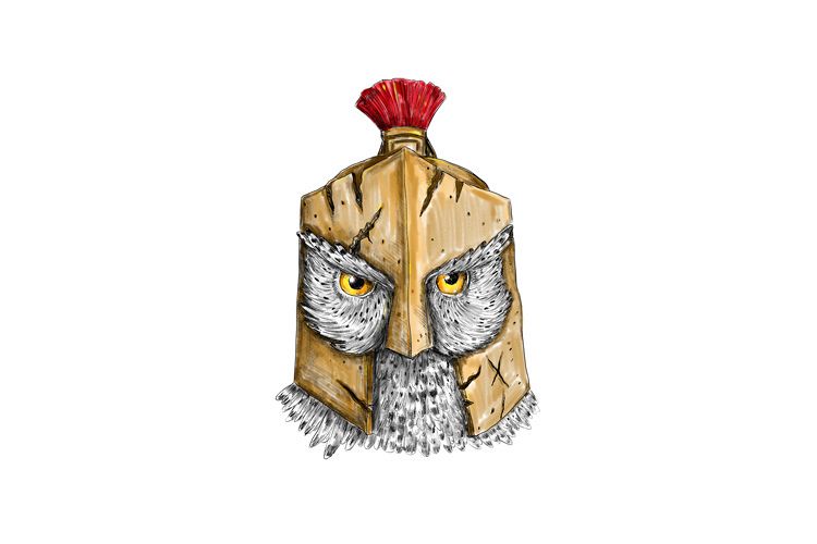 Owl Wearing Spartan Helmet Tattoo example image 1