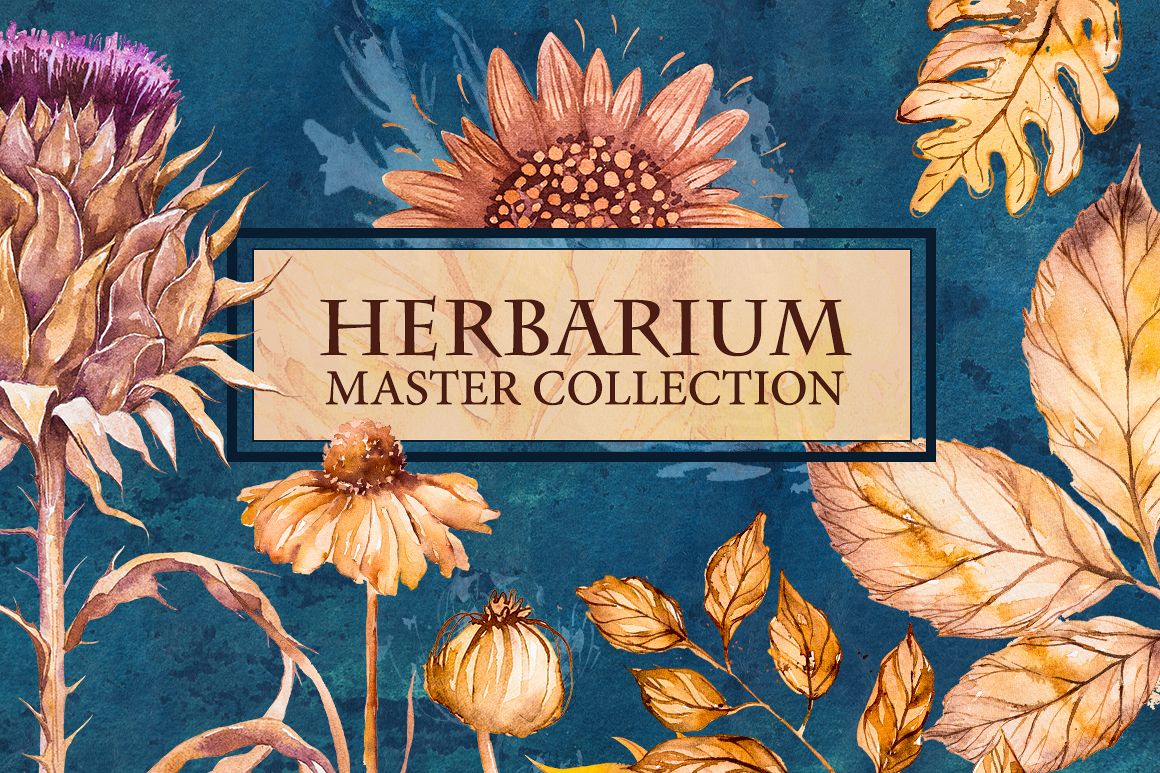 Herbarium Master Collection example image 1