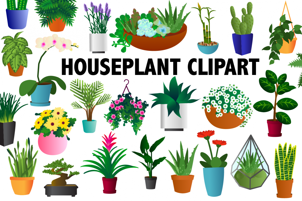 Houseplant Clipart example image 1
