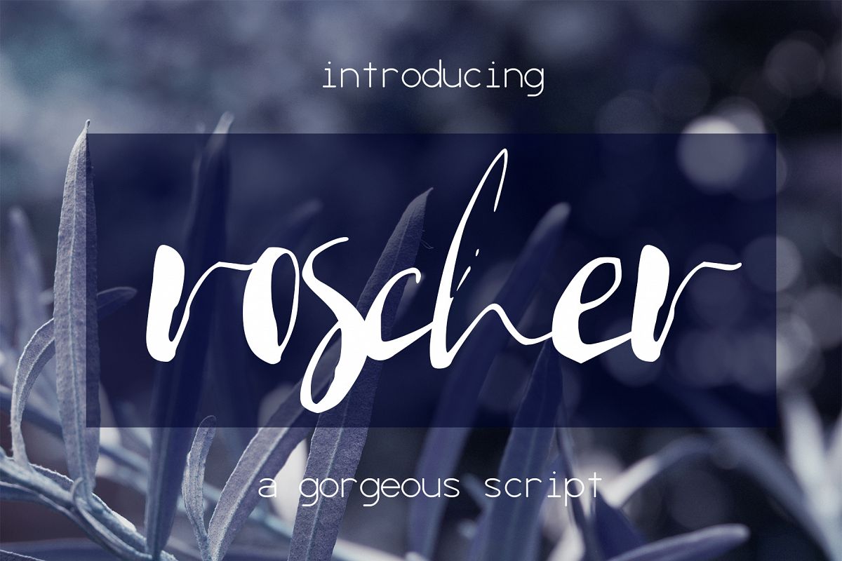Roscher Font example image 1