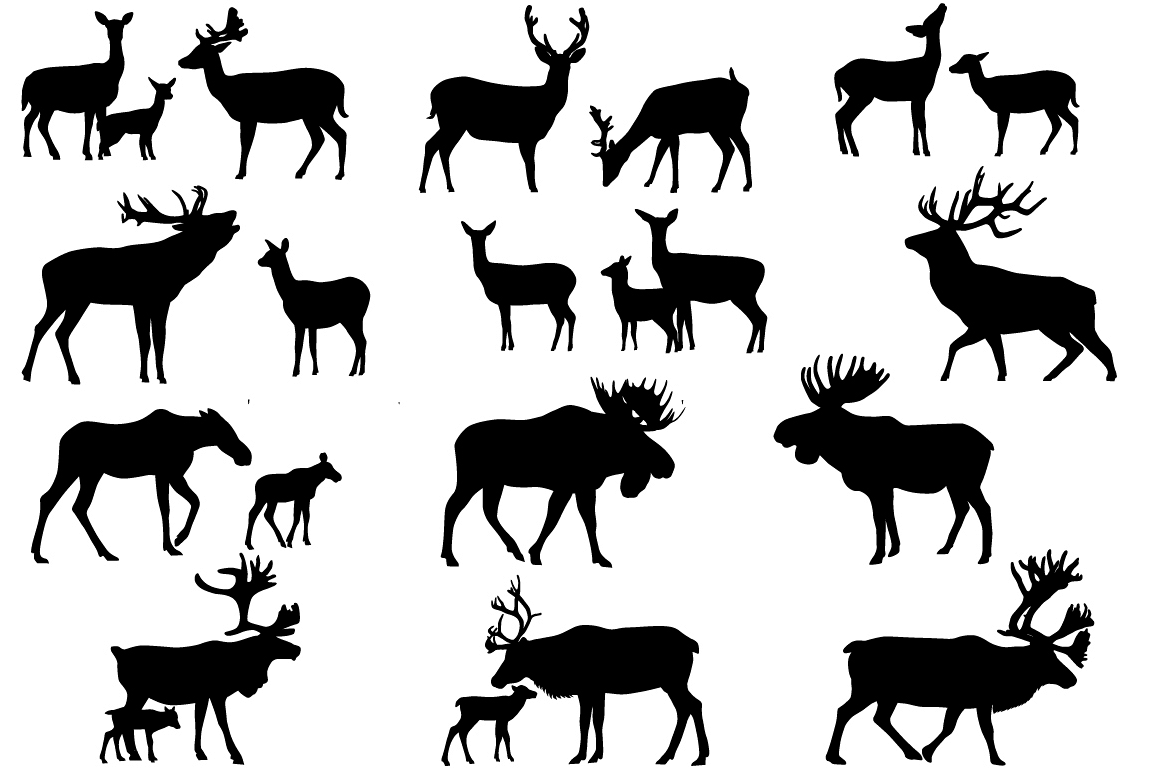 Download Deer family