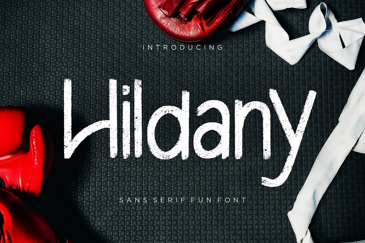 Hildany Sans Fun example image 1