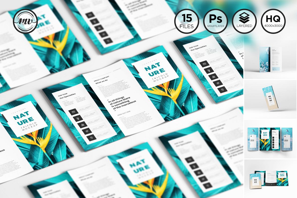 A4 Trifold Mockups V3 example image 1