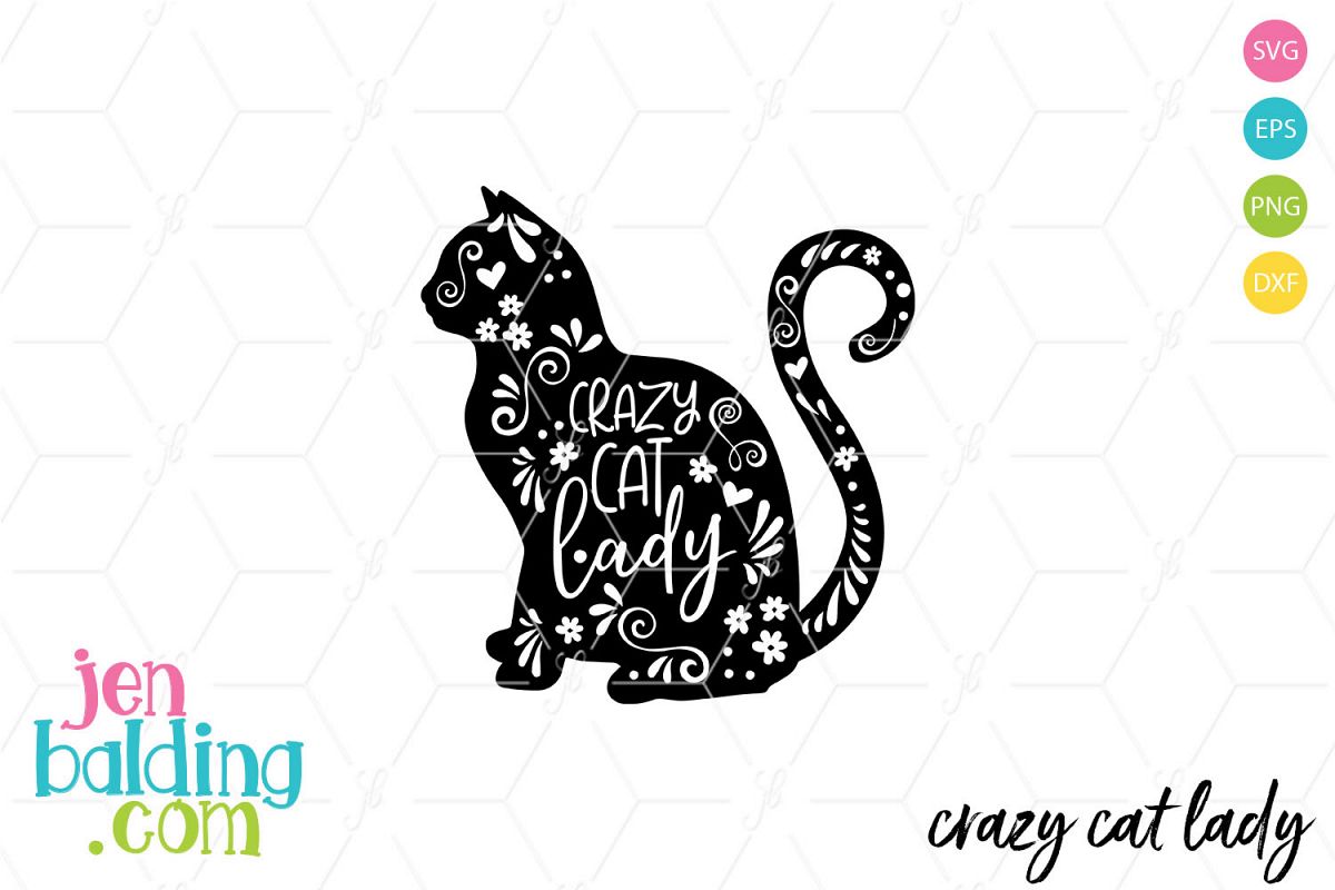 Crazy Cat Lady example image 1