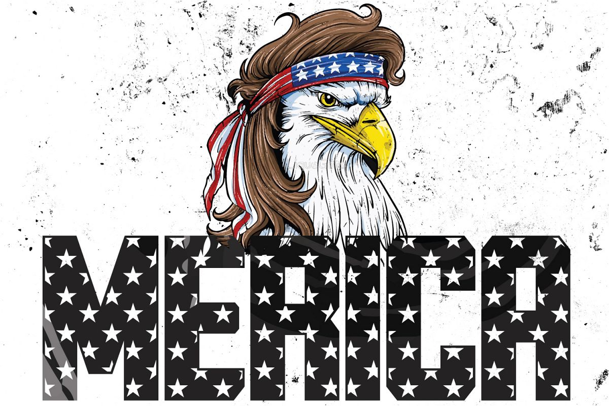 MERICA example image 1