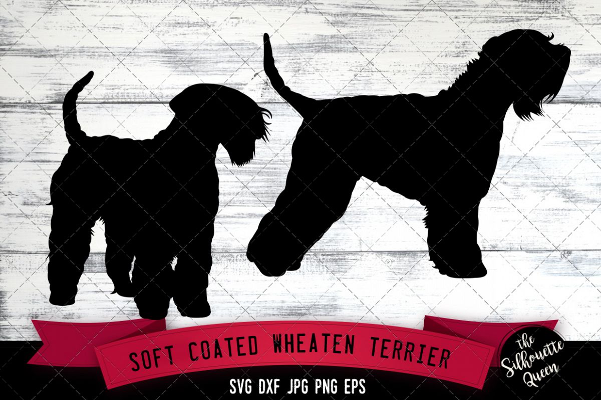 Soft Coated Wheaten Terrier SVG Files, Dog Svg