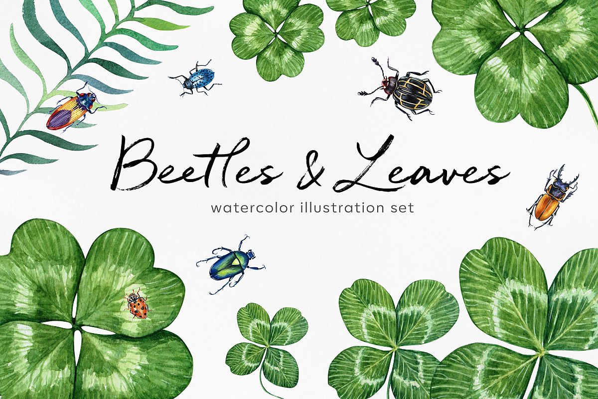 Beetles & Leaves. Watercolor set illustrations example image 1