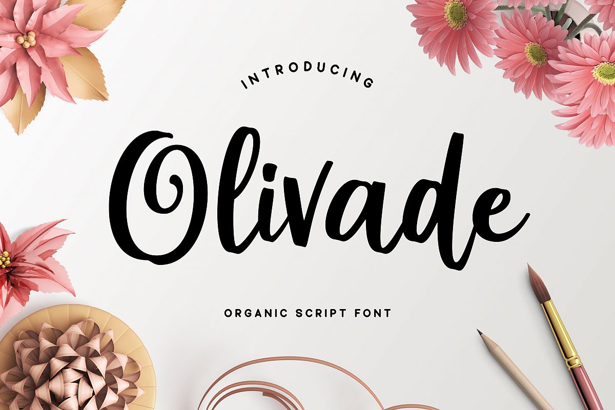 Olivade - Script Font example image 1