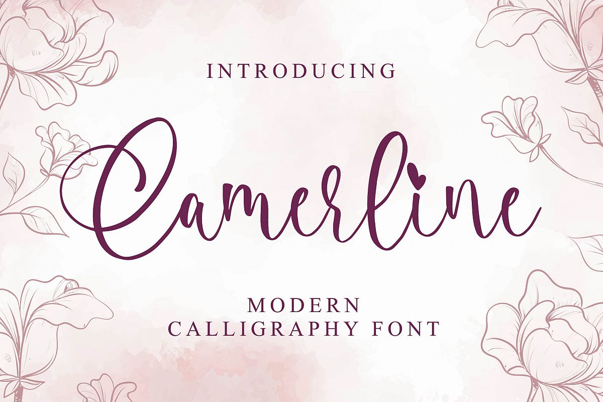 Camerline - Modern Calligraphy Font example image 1