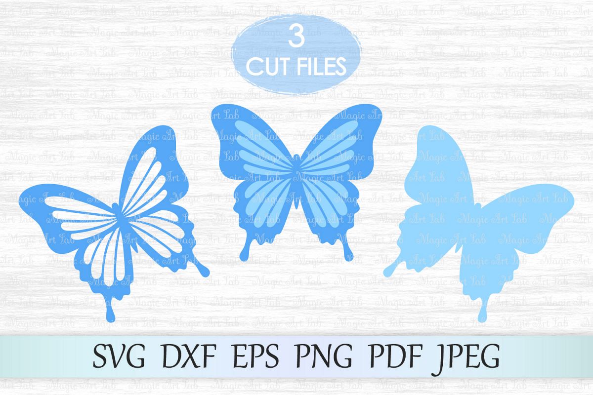 Butterfly svg, Butterflies svg file, Butterfly wall decor ...